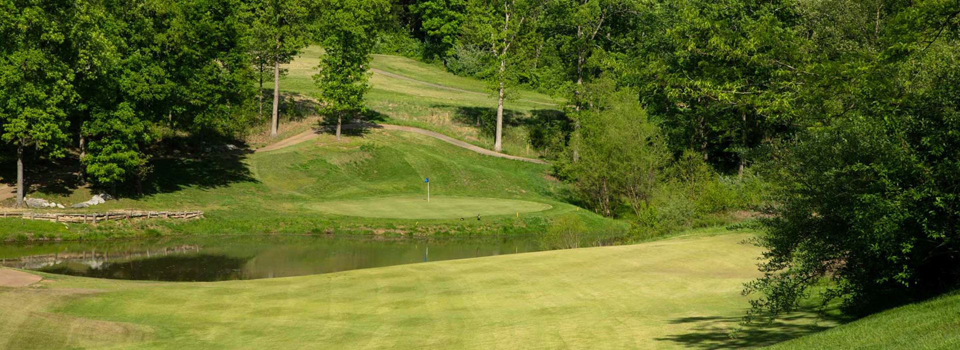 Eagle Backyard Golf Practice Net